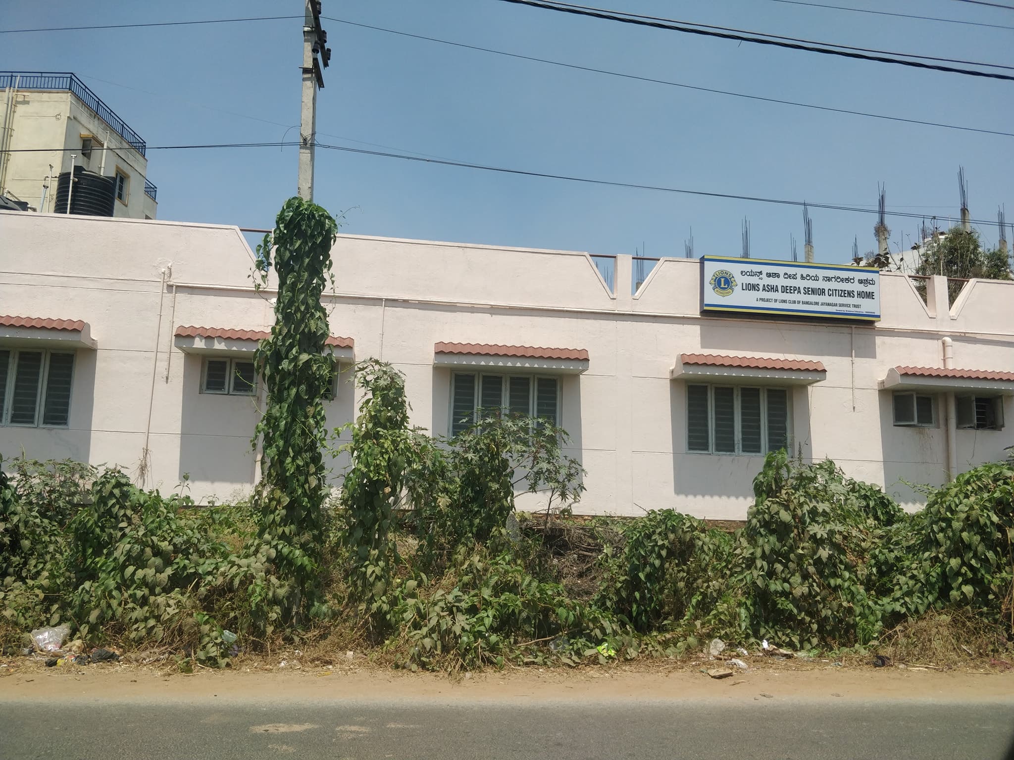 Gallery Highlight 10